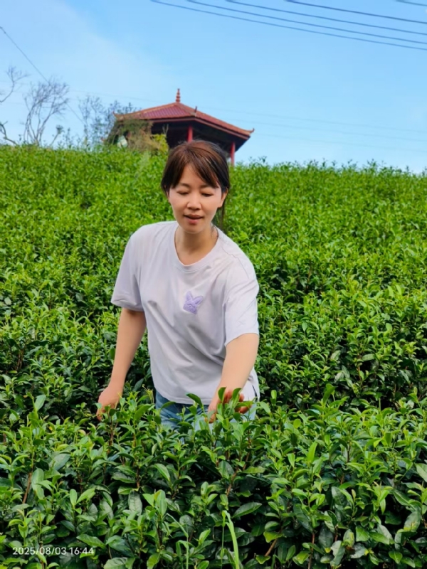 Q绮芳的第一张照片--诏安婚介网
